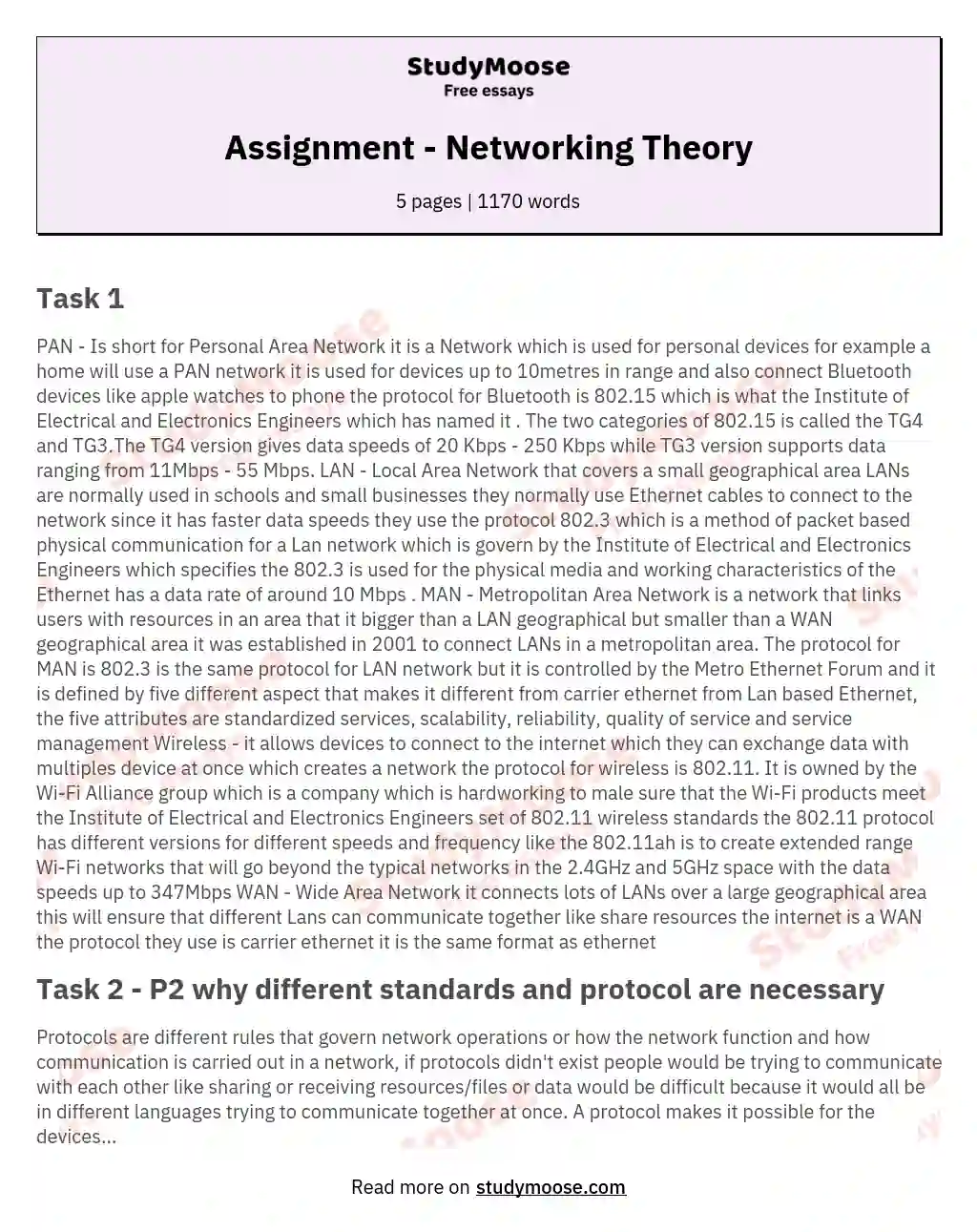 Assignment - Networking Theory essay