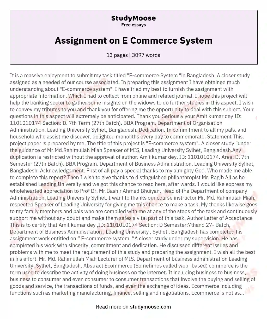 Assignment on E Commerce System essay
