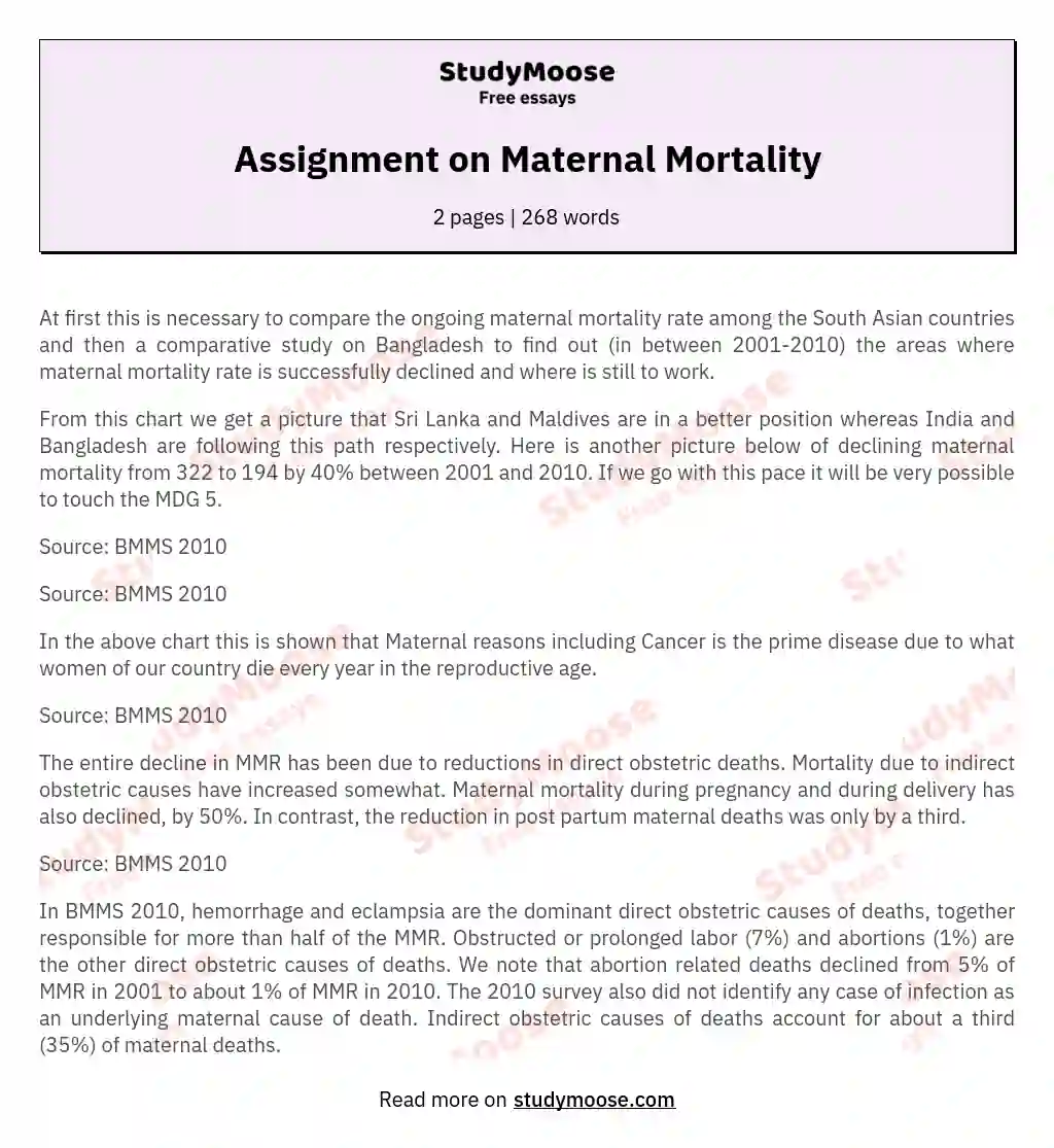 Assignment on Maternal Mortality essay