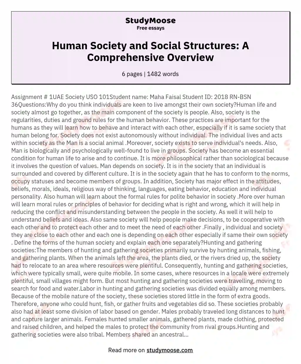 Human Society and Social Structures: A Comprehensive Overview essay