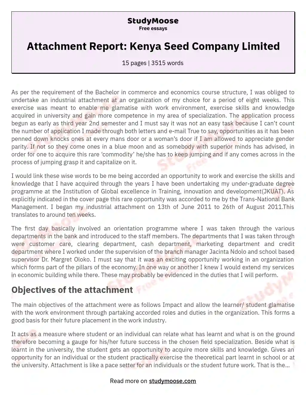 Attachment Report: Kenya Seed Company Limited essay