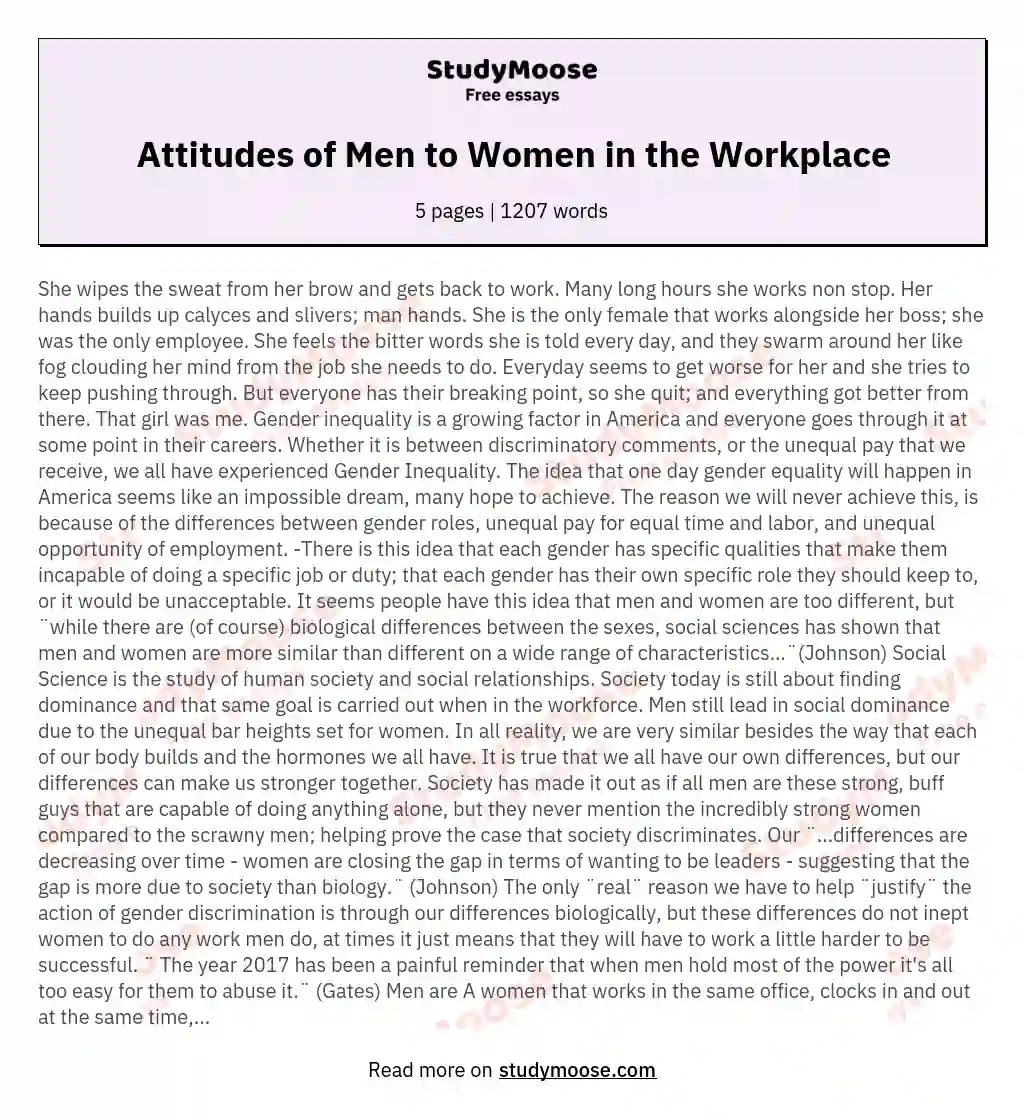 Attitudes of Men to Women in the Workplace essay