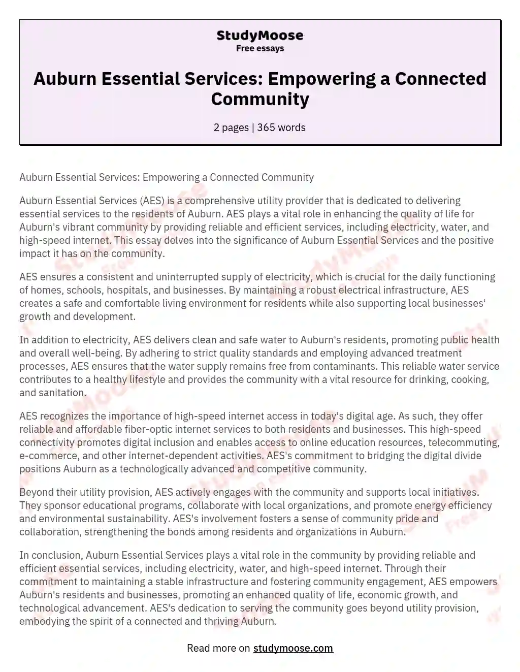 Auburn Essential Services: Empowering a Connected Community essay