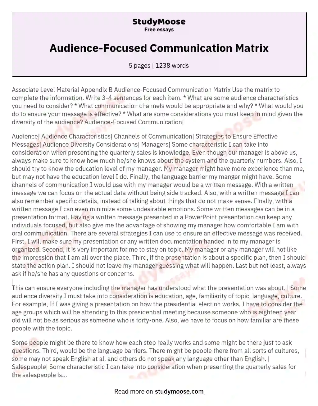 Audience-Focused Communication Matrix essay