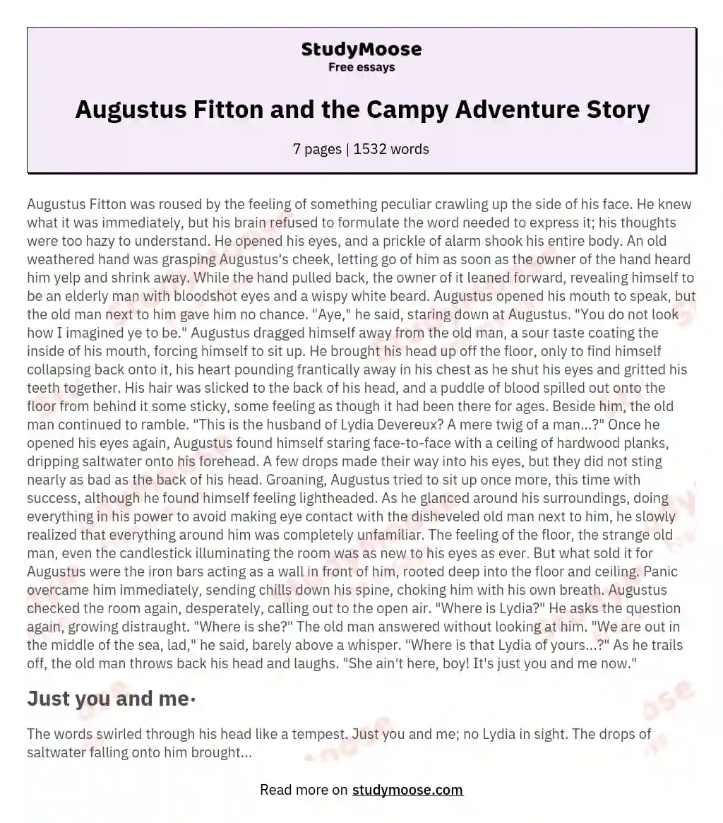 Augustus Fitton and the Campy Adventure Story essay