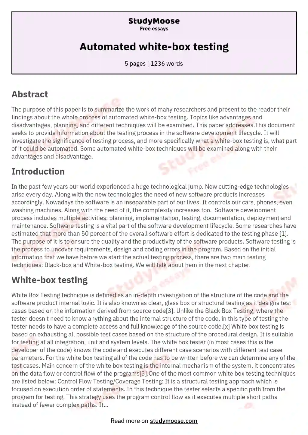 Automated white-box testing essay