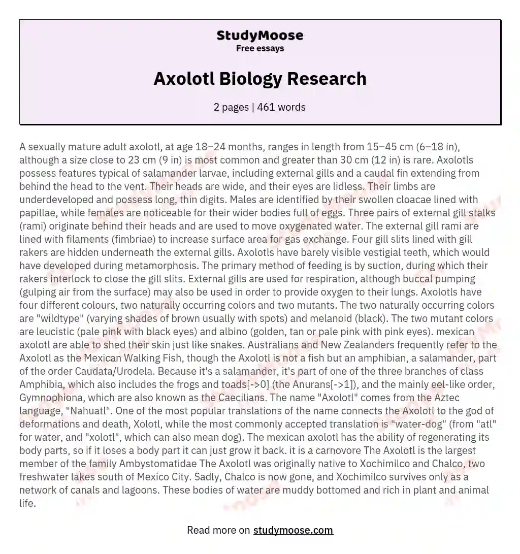 Axolotl Biology Research