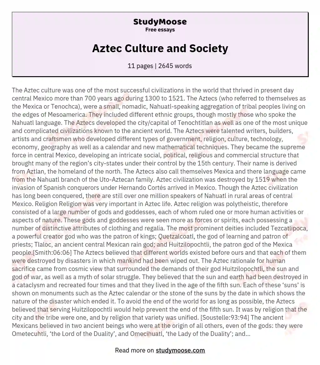 Aztec Culture and Society essay