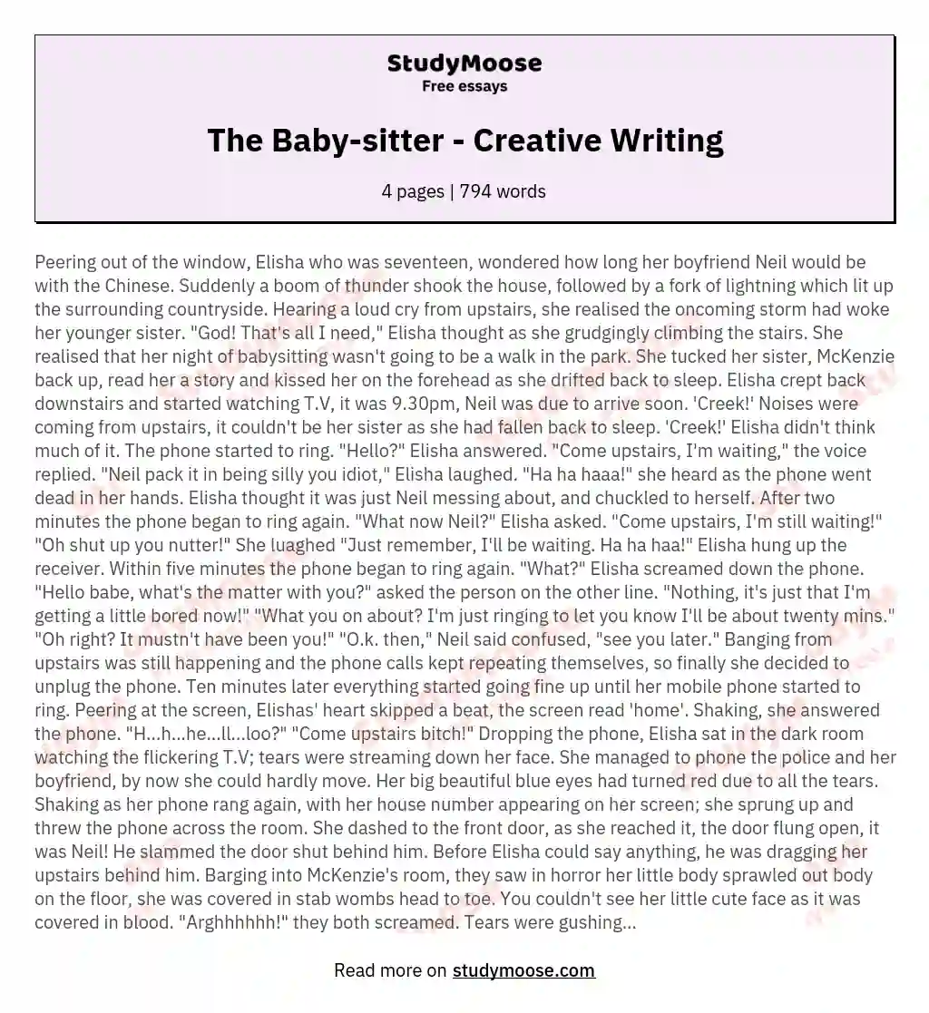 The Baby-sitter - Creative Writing essay