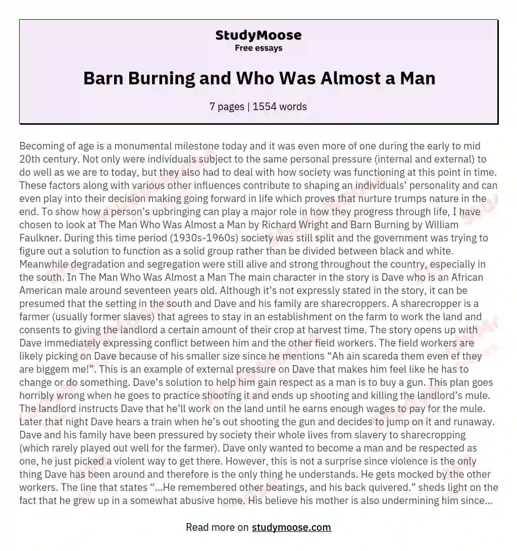 Barn Burning and Who Was Almost a Man essay