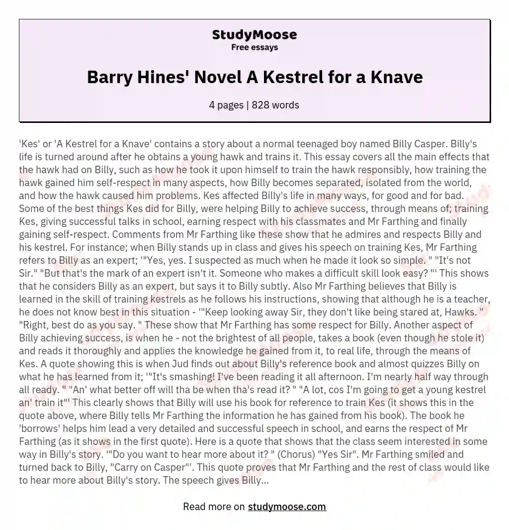 Barry Hines' Novel A Kestrel for a Knave essay
