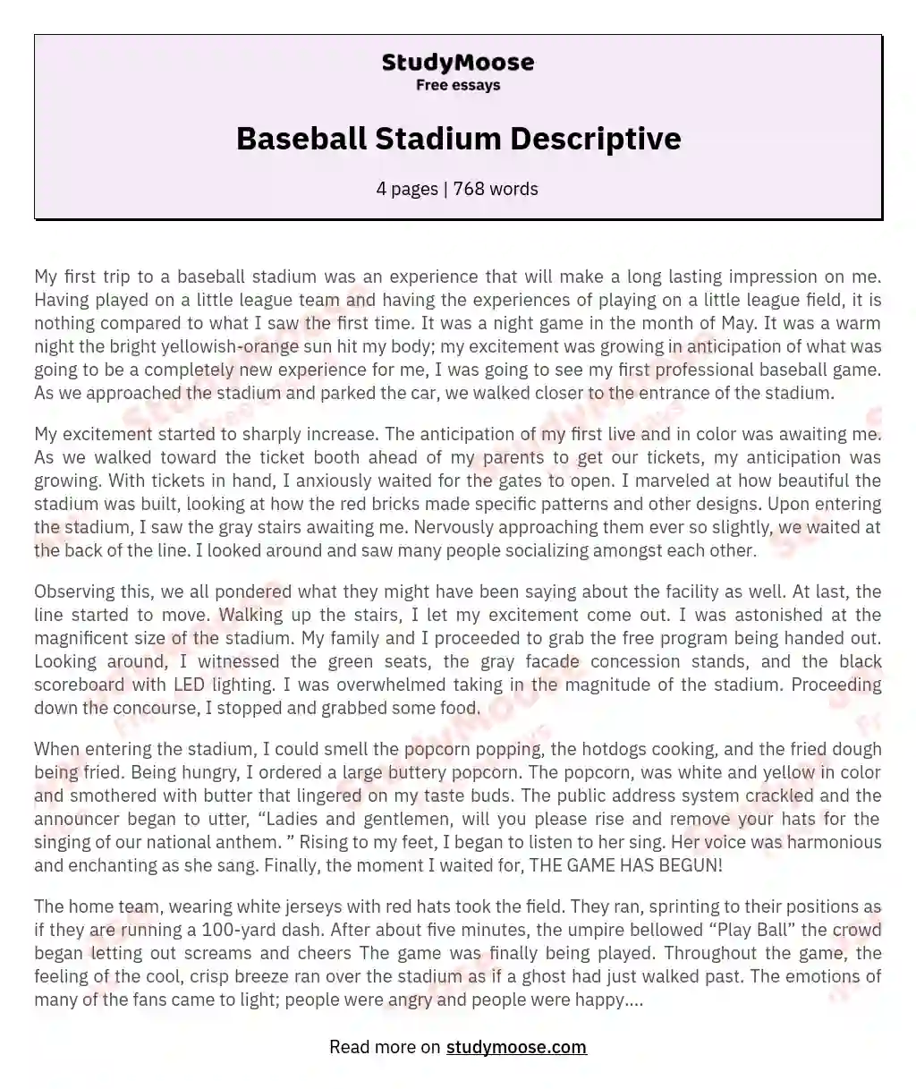 descriptive essay about a baseball game