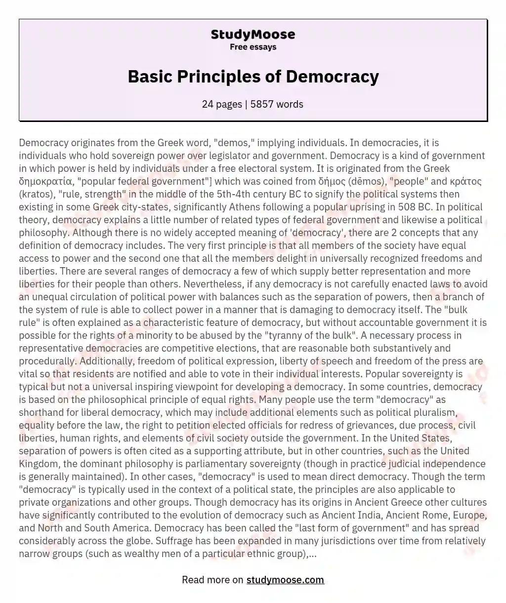 Basic Principles of Democracy essay