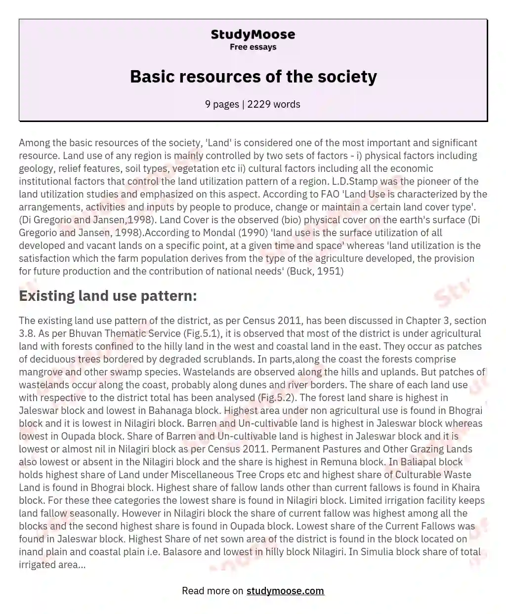 Basic resources of the society essay