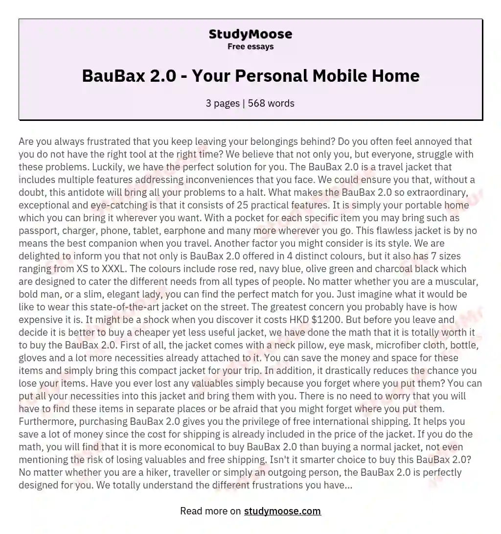 BauBax 2.0 - Your Personal Mobile Home essay