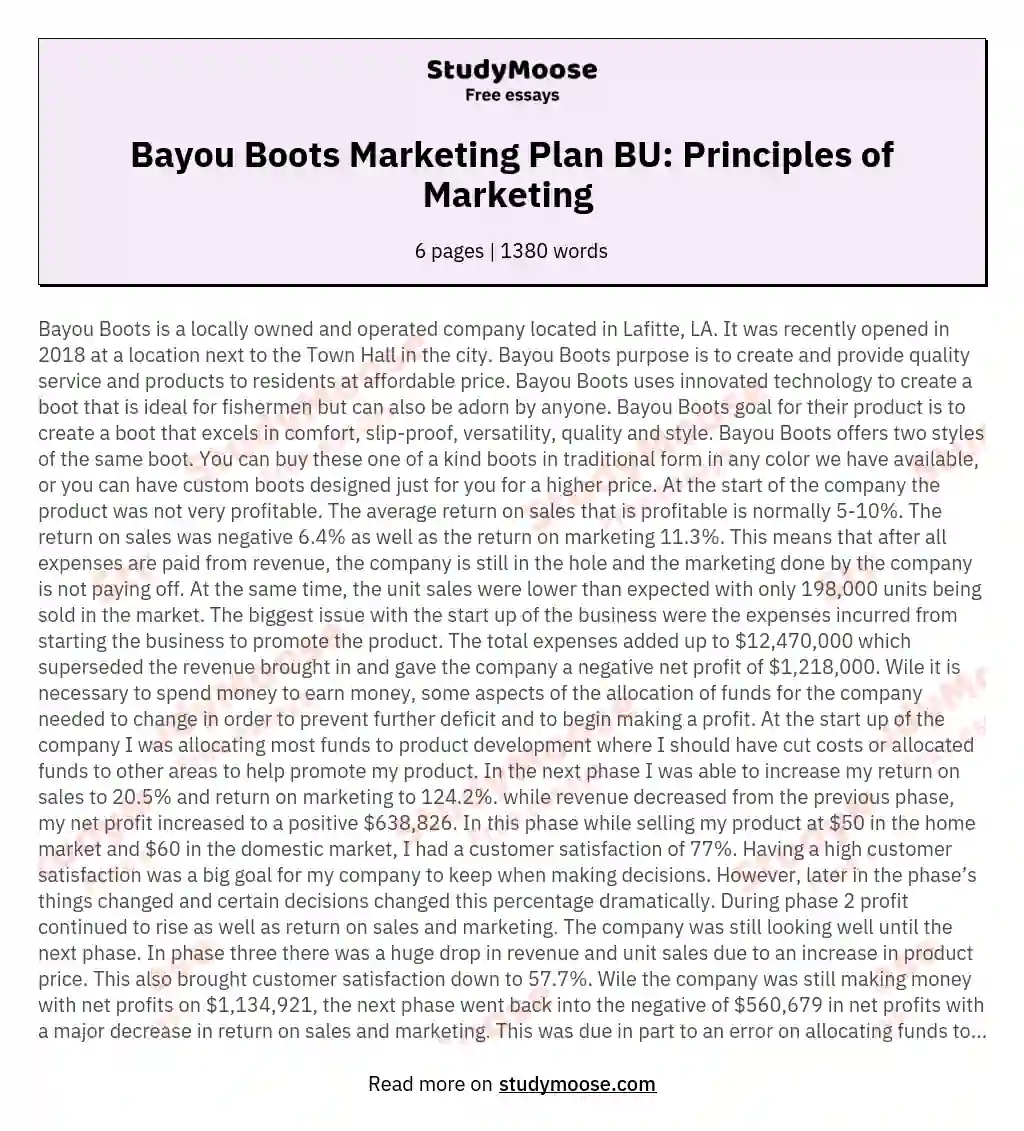 Bayou Boots Marketing Plan BU: Principles of Marketing  essay
