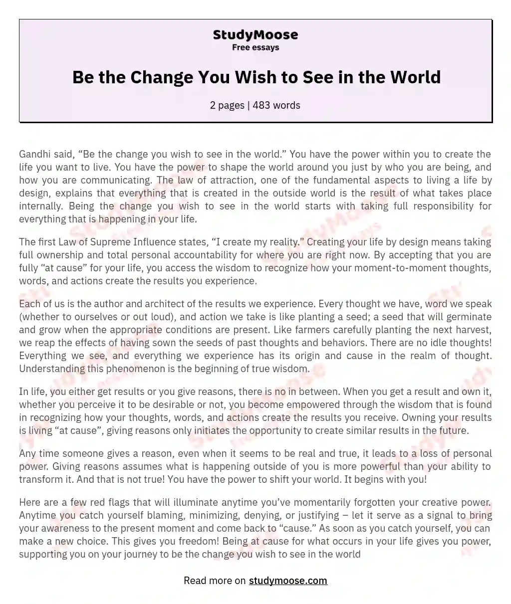 Be the Change You Wish to See in the World essay