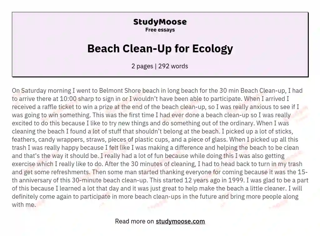 Beach Clean Up Report Essay