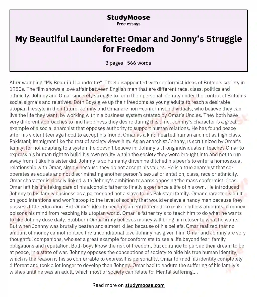 My Beautiful Launderette: Omar and Jonny’s Struggle for Freedom essay