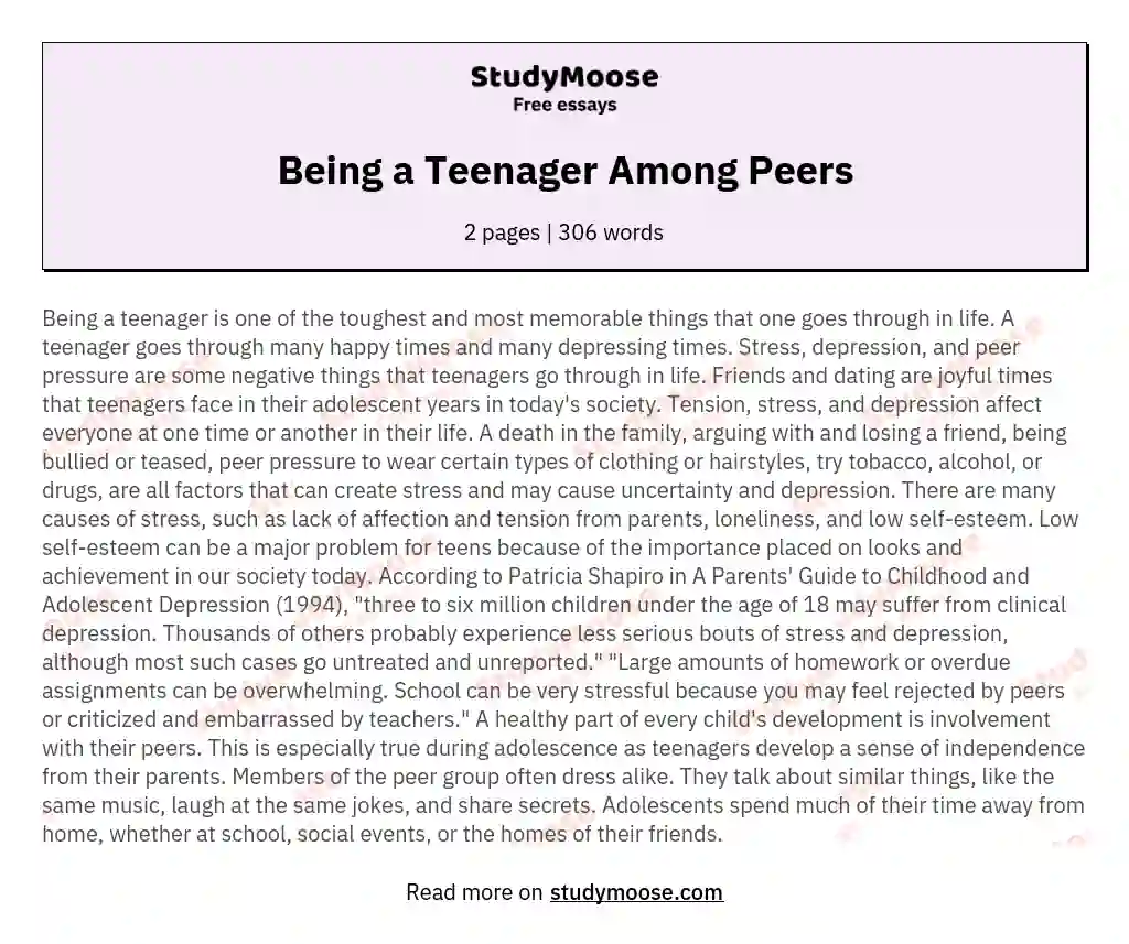 Being a Teenager Among Peers essay