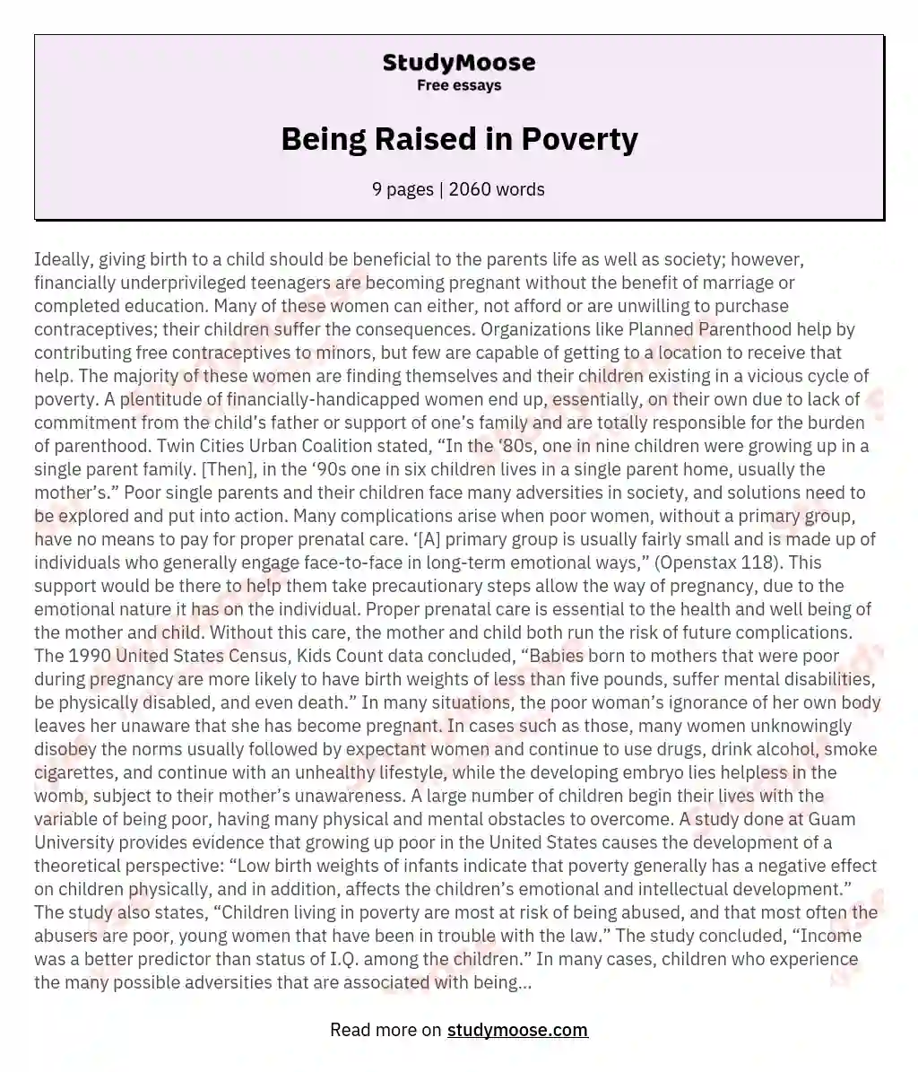 Being Raised in Poverty essay