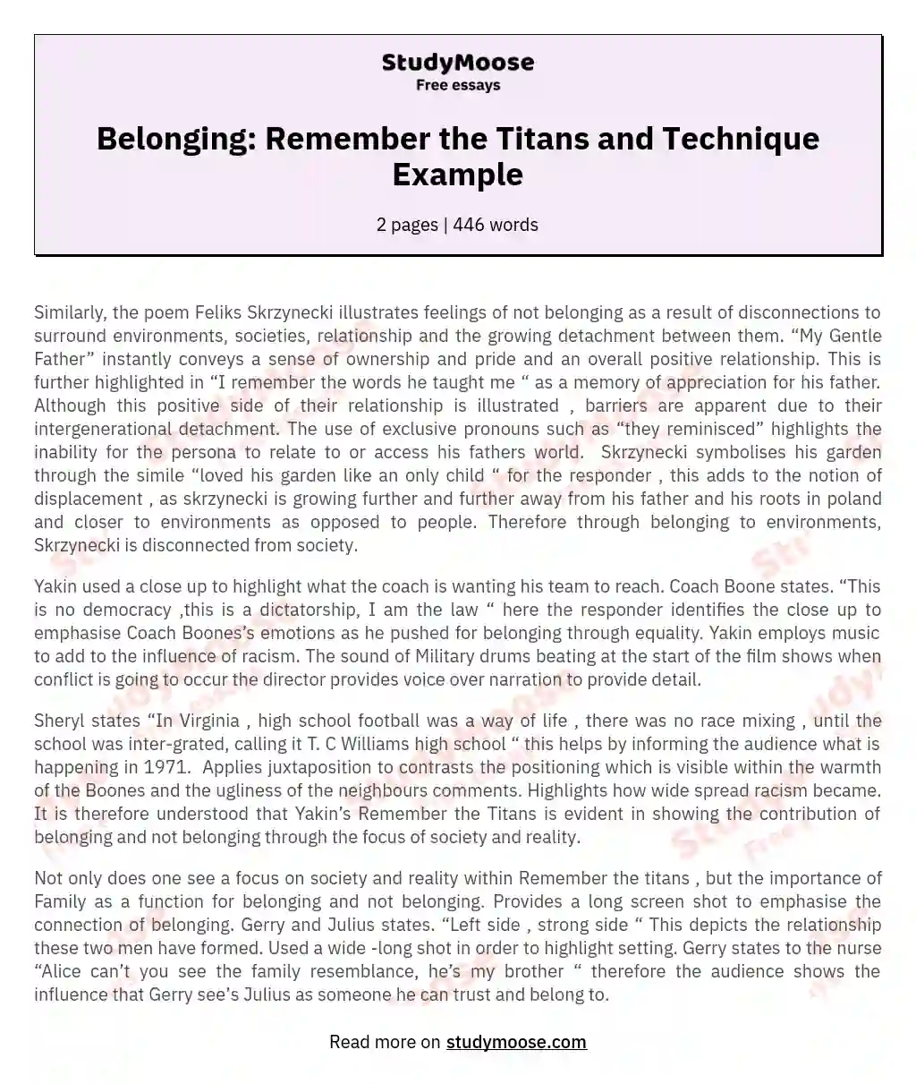 Belonging: Remember the Titans and Technique Example essay