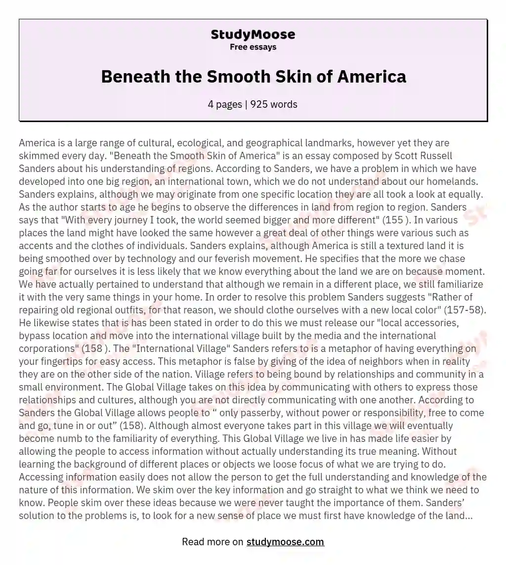 Beneath the Smooth Skin of America essay