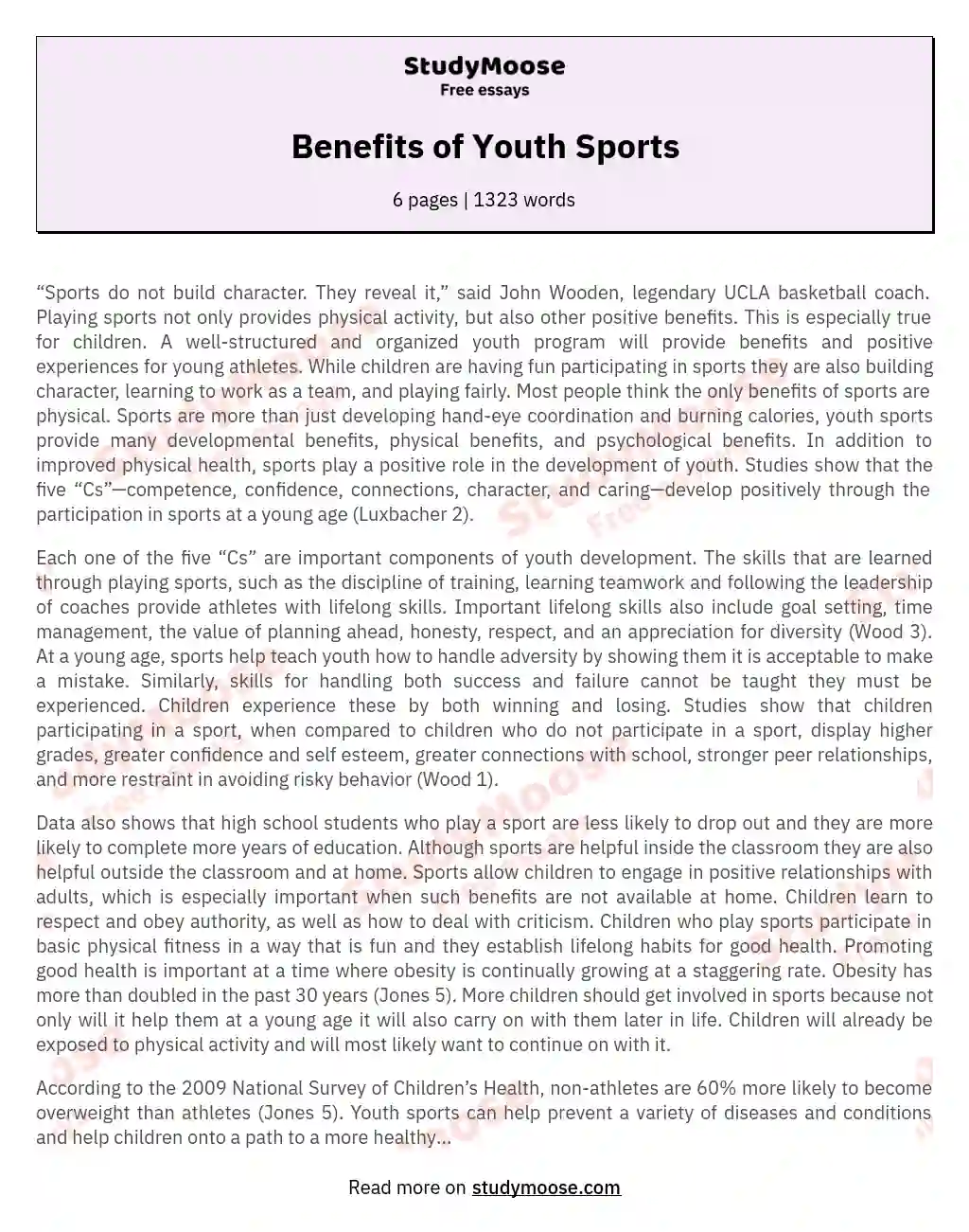 Benefits of Youth Sports essay