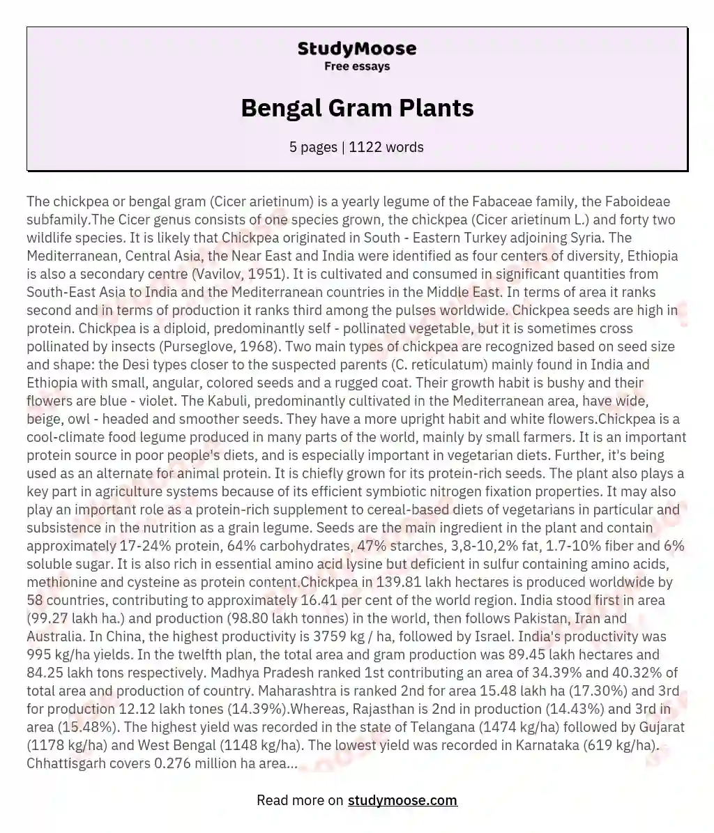 Bengal Gram Plants essay