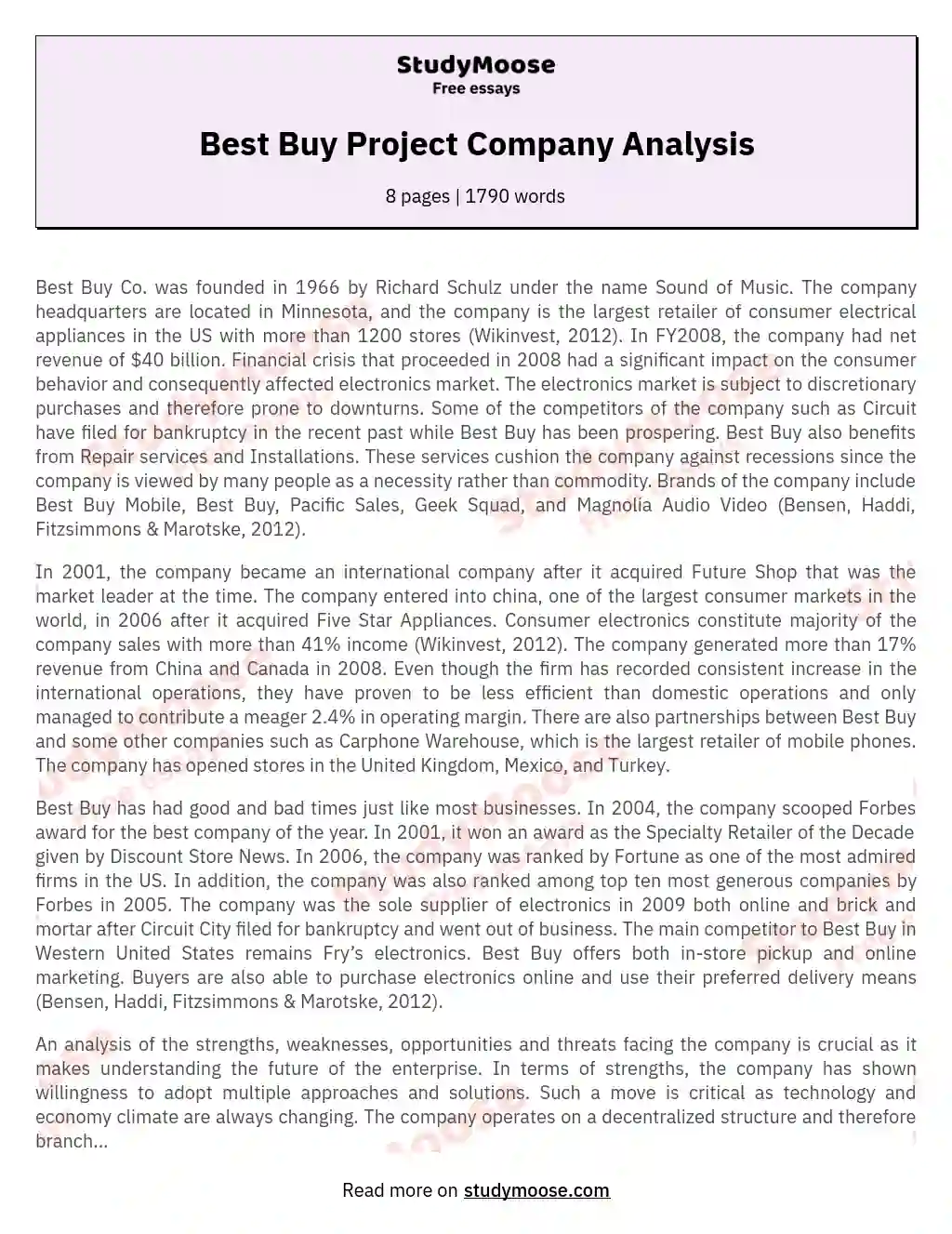 Best Buy Project Company Analysis essay