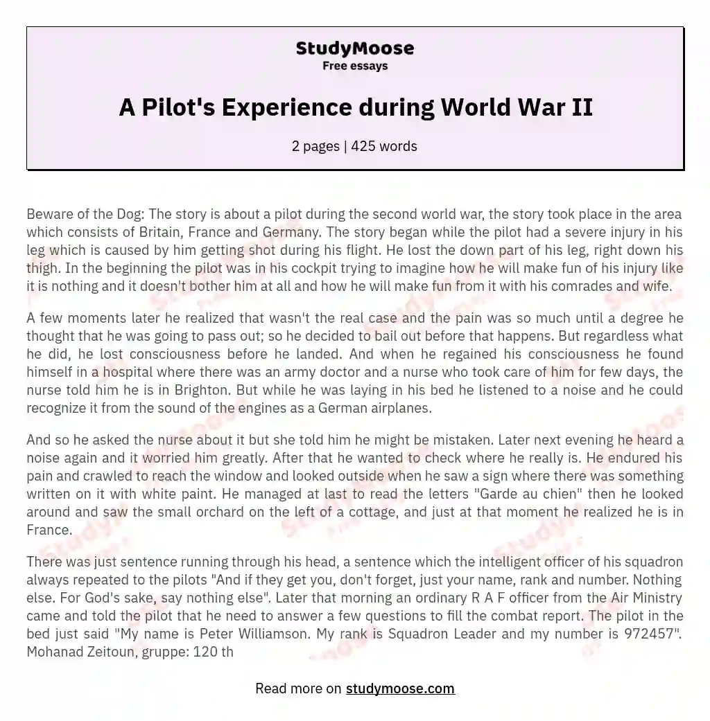 A Pilot's Experience during World War II essay