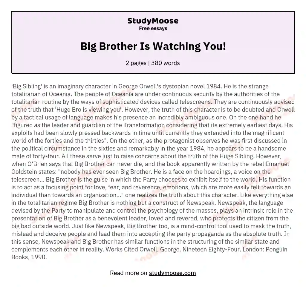 Big Brother Is Watching You!