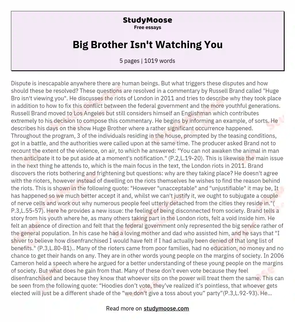 Big Brother Isn't Watching You essay