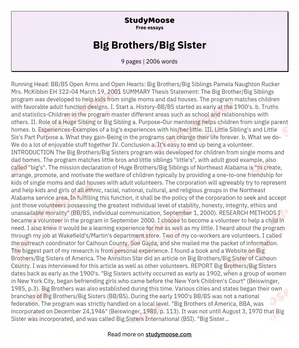 Big Brothers/Big Sister essay