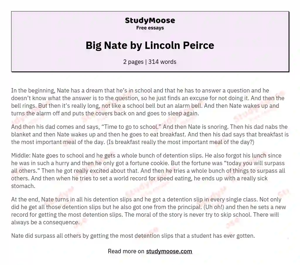 Big Nate  by Lincoln Peirce essay