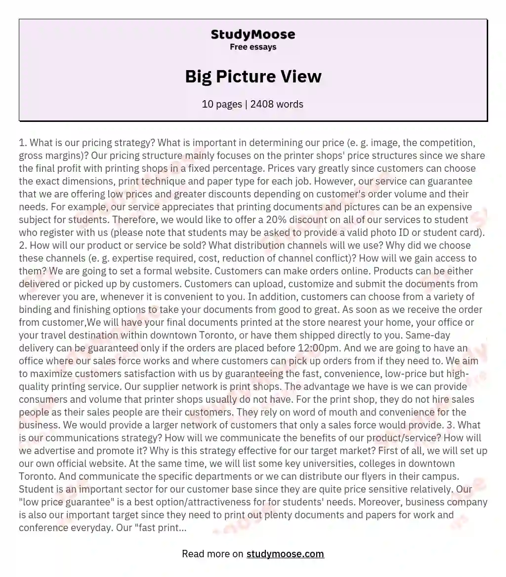 Big Picture View essay