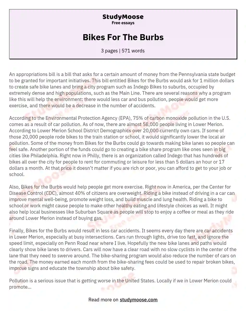 Bikes For The Burbs essay