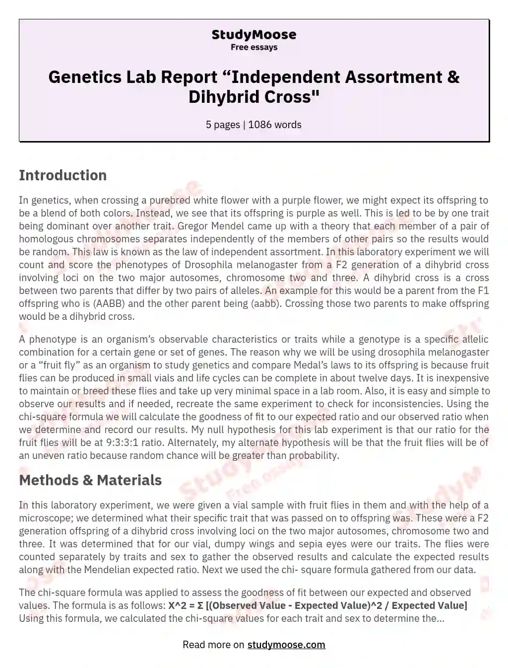 Genetics Lab Report “Independent Assortment & Dihybrid Cross" essay