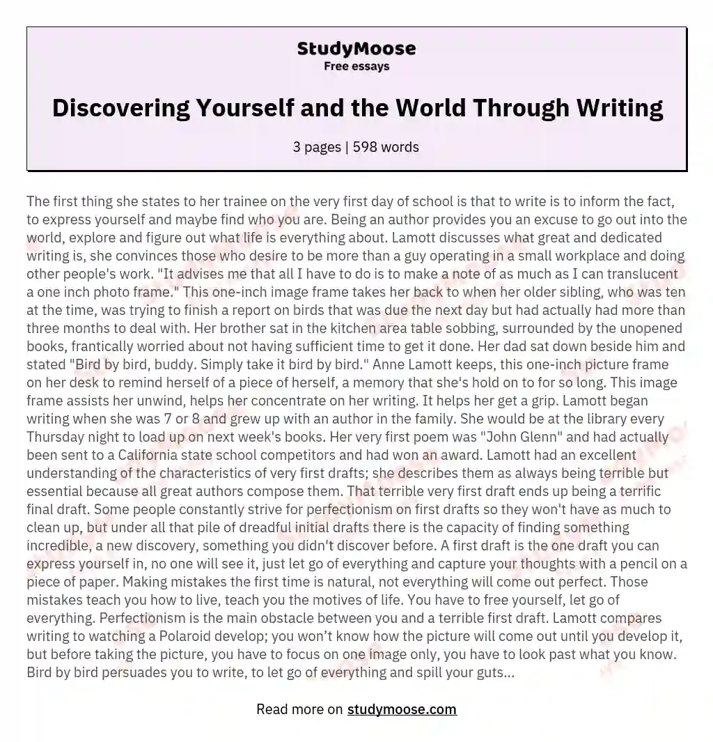 Discovering Yourself and the World Through Writing essay