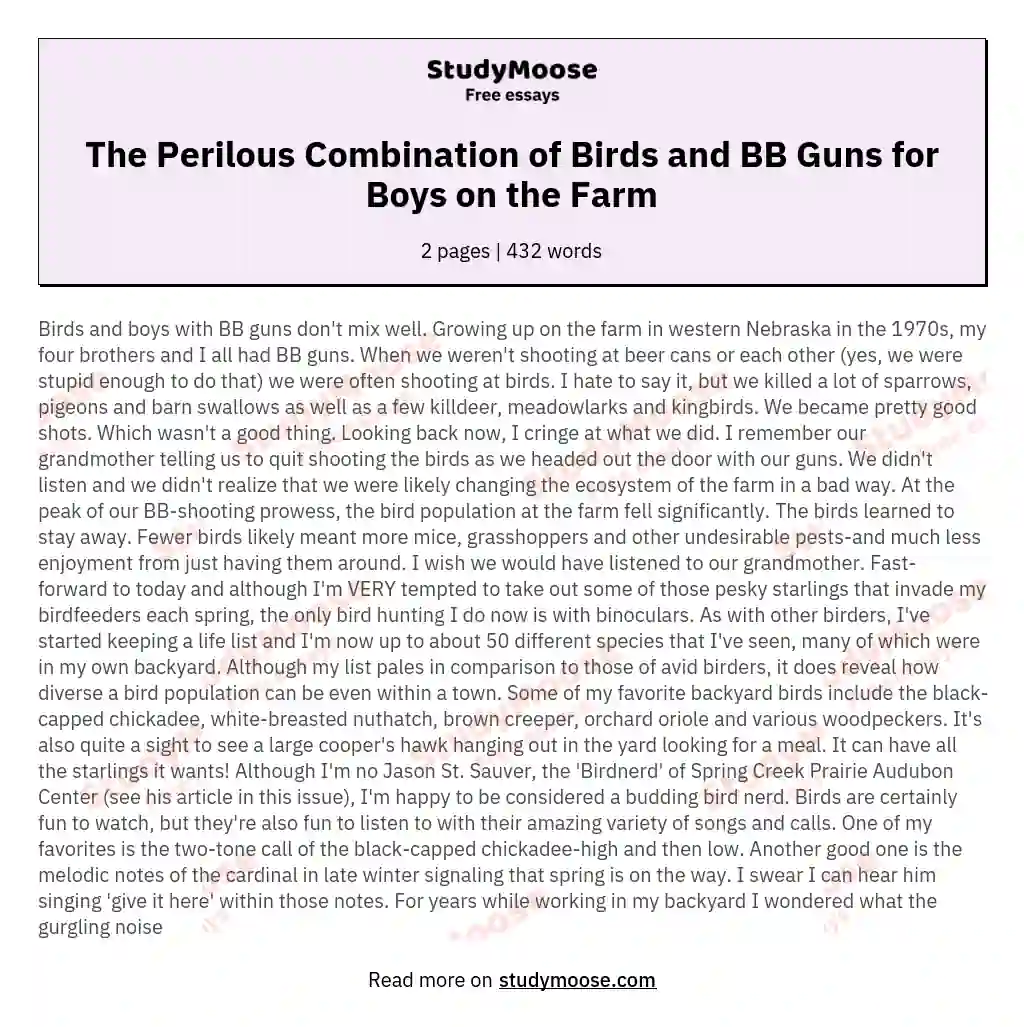 The Perilous Combination of Birds and BB Guns for Boys on the Farm essay