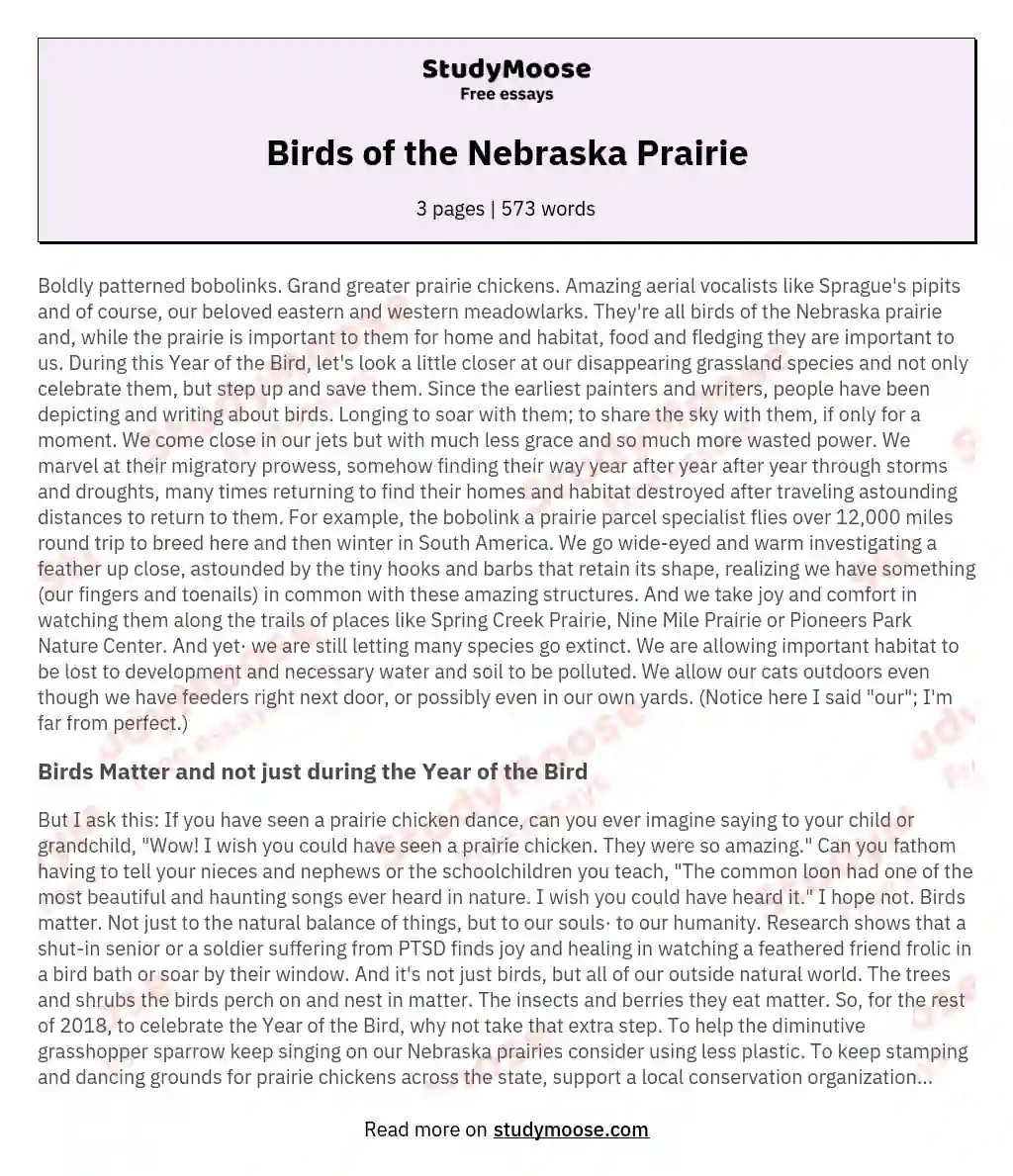 Birds of the Nebraska Prairie essay