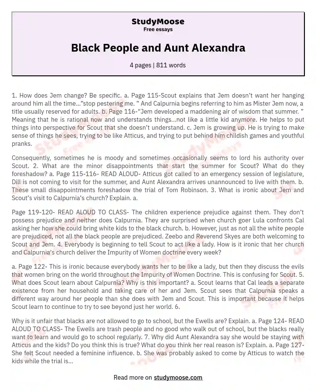 Black People and Aunt Alexandra essay