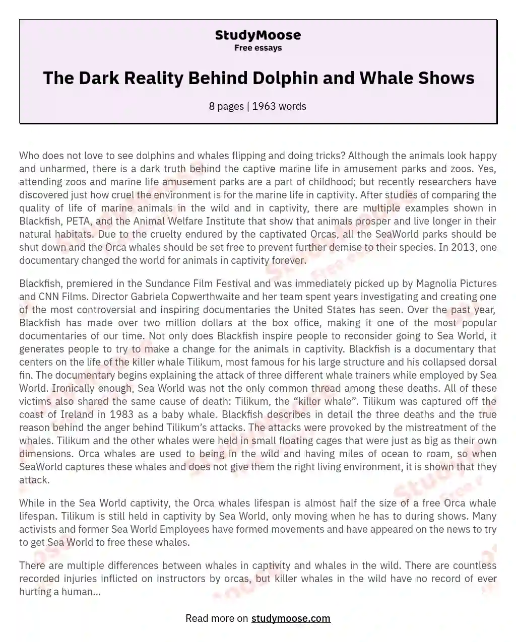 The Truth About Captive Marine Life: A Call to Release Orcas essay