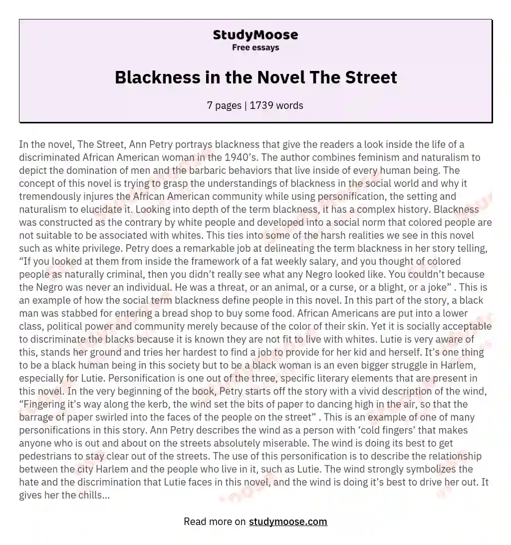Blackness in the Novel The Street essay