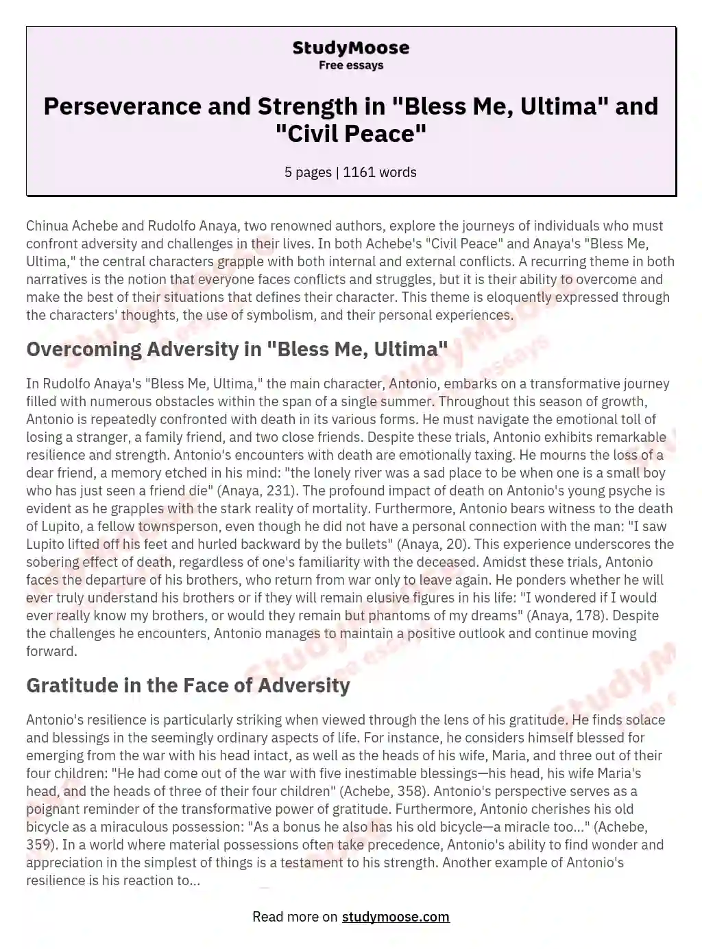 Perseverance and Strength in "Bless Me, Ultima" and "Civil Peace" essay