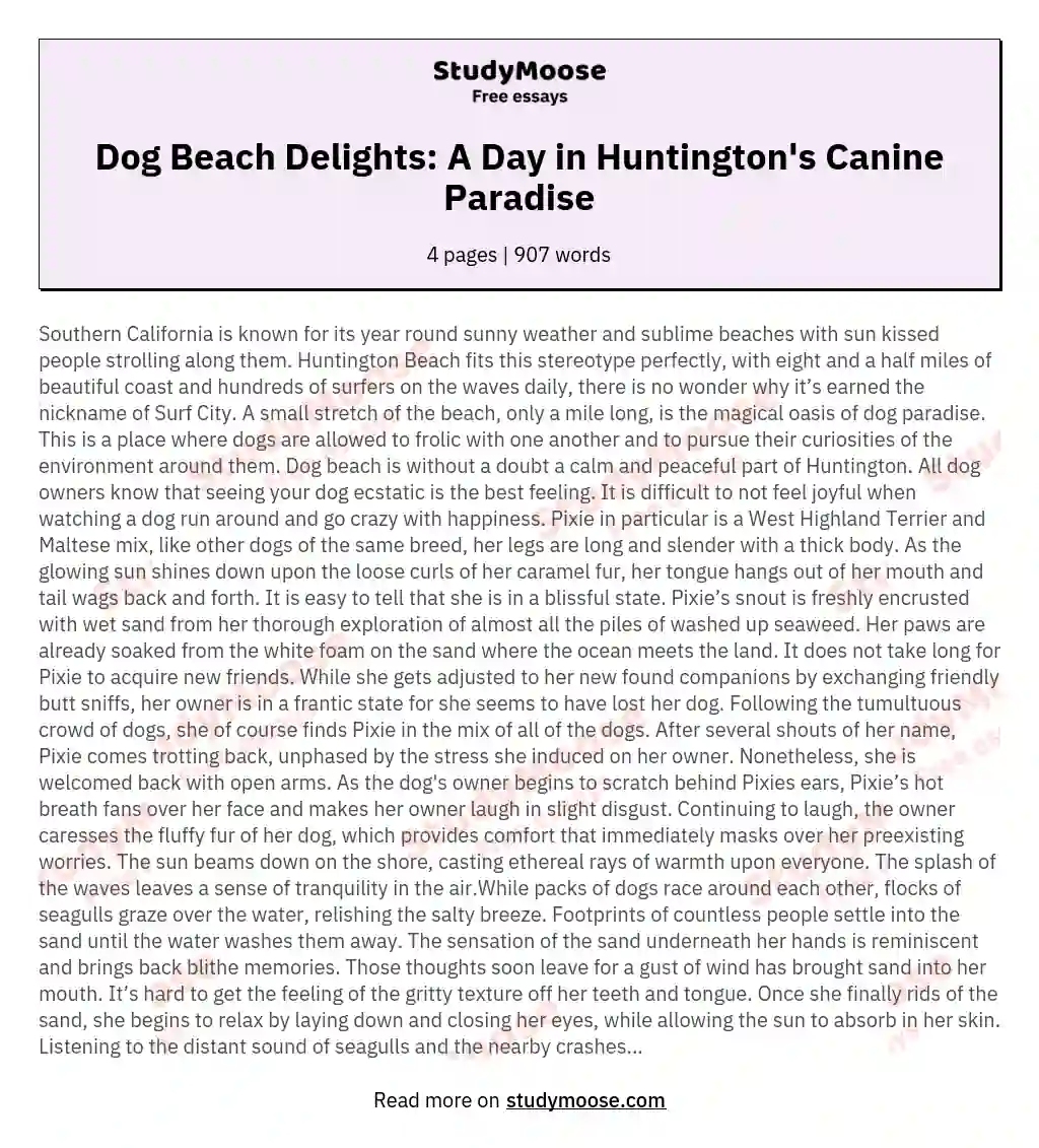 Dog Beach Delights: A Day in Huntington's Canine Paradise essay
