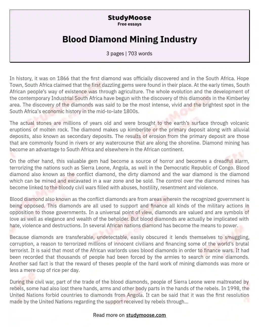 Blood Diamond Mining Industry essay