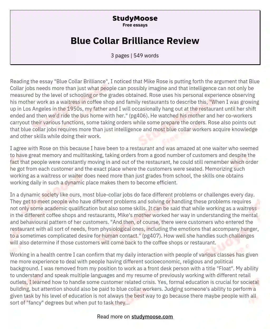 Blue Collar Brilliance Review essay