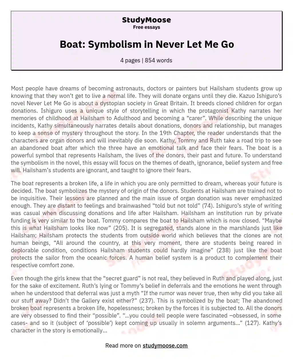 Boat: Symbolism in Never Let Me Go essay