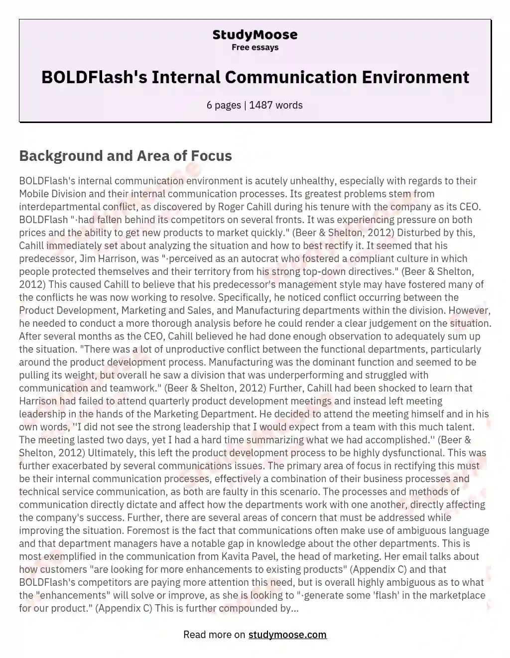 BOLDFlash's Internal Communication Environment essay